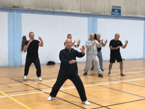 tai chi nov25